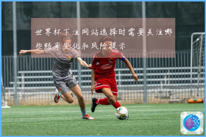 世界杯下注网站选择时需要关注哪些赔率变化和风险提示