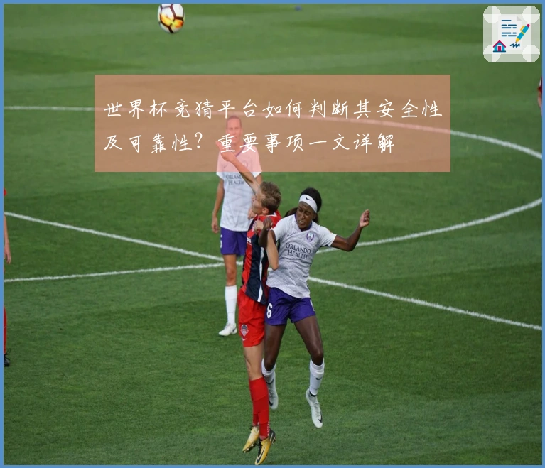 世界杯竞猜平台如何判断其安全性及可靠性？重要事项一文详解