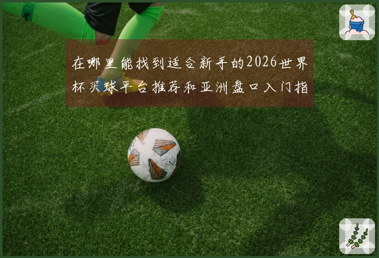 在哪里能找到适合新手的2026世界杯买球平台推荐和亚洲盘口入门指南