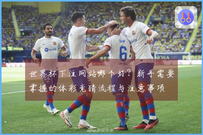 世界杯下注网站哪个好？新手需要掌握的体彩竞猜流程与注意事项