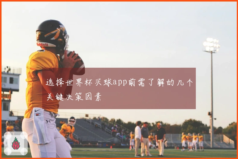 选择世界杯买球app前需了解的几个关键决策因素