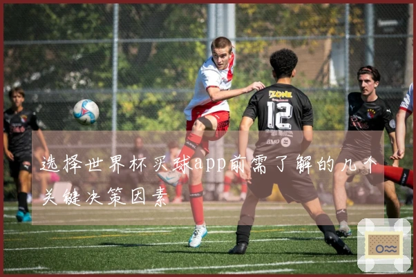 选择世界杯买球app前需了解的几个关键决策因素