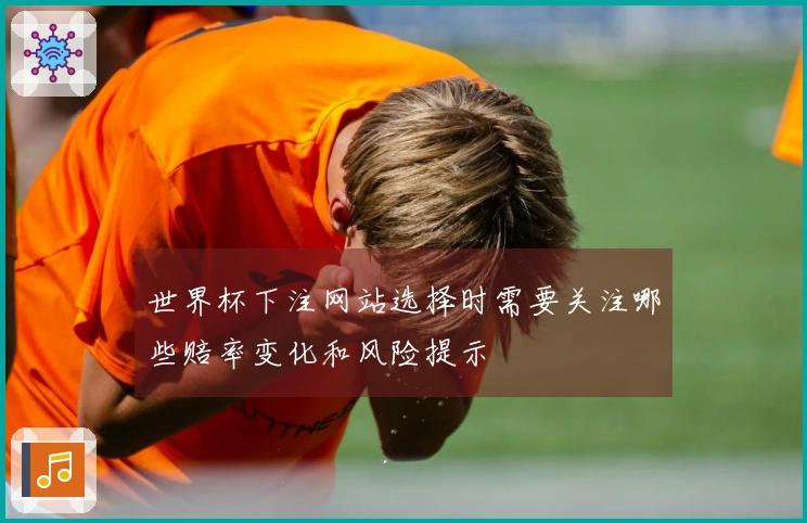 世界杯下注网站选择时需要关注哪些赔率变化和风险提示